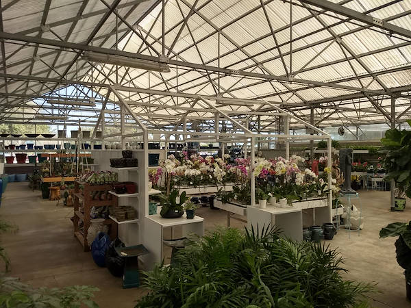 Retail Renaissance: Turner Garden renovates their Greenhouse to drive sales for 2021