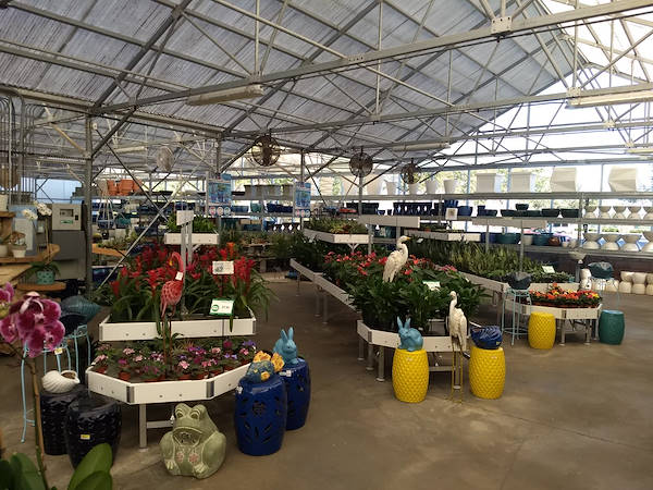 نهضة البيع بالتجزئة: قامت Turner Garden بتجديد Greenhouse لزيادة المبيعات لعام 2021