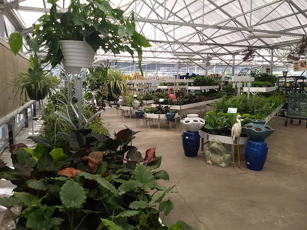 نهضة البيع بالتجزئة: قامت Turner Garden بتجديد Greenhouse لزيادة المبيعات لعام 2021