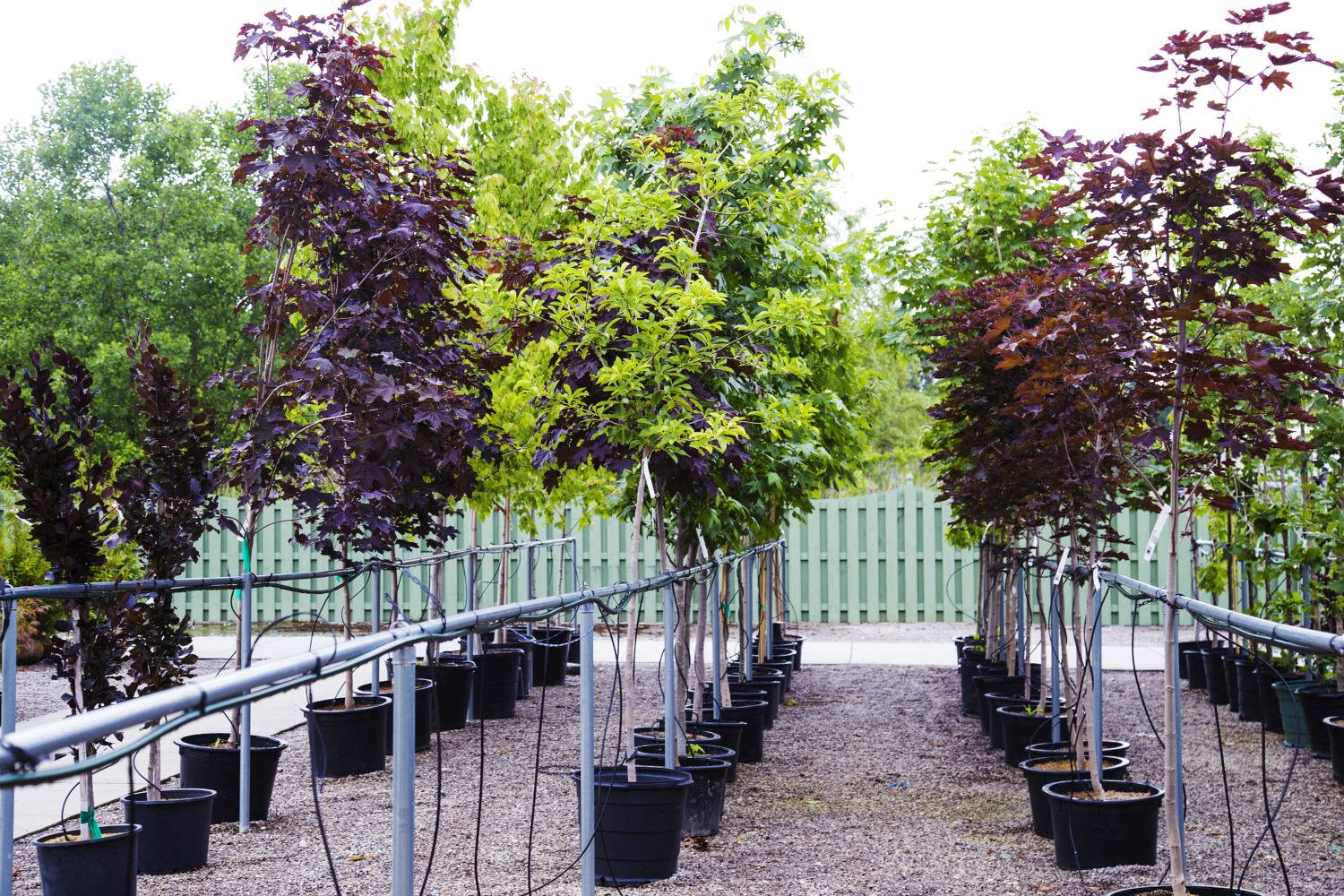 Reutilizar, adaptar, reciclar