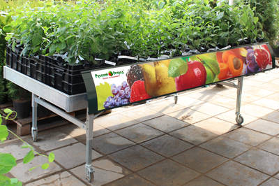 RUSSIA – MOSCA - L'apertura ufficiale del Garden Center di nuovo formato!