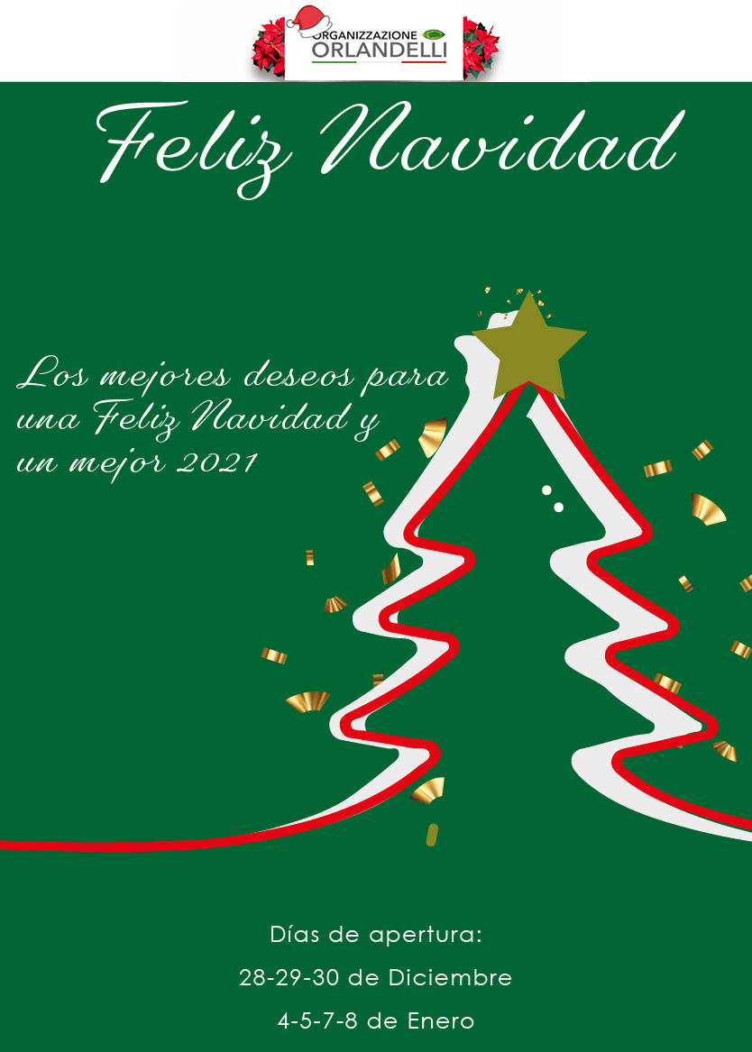 Tarjeta de felicitación de Navidad de Orlandelli 2020