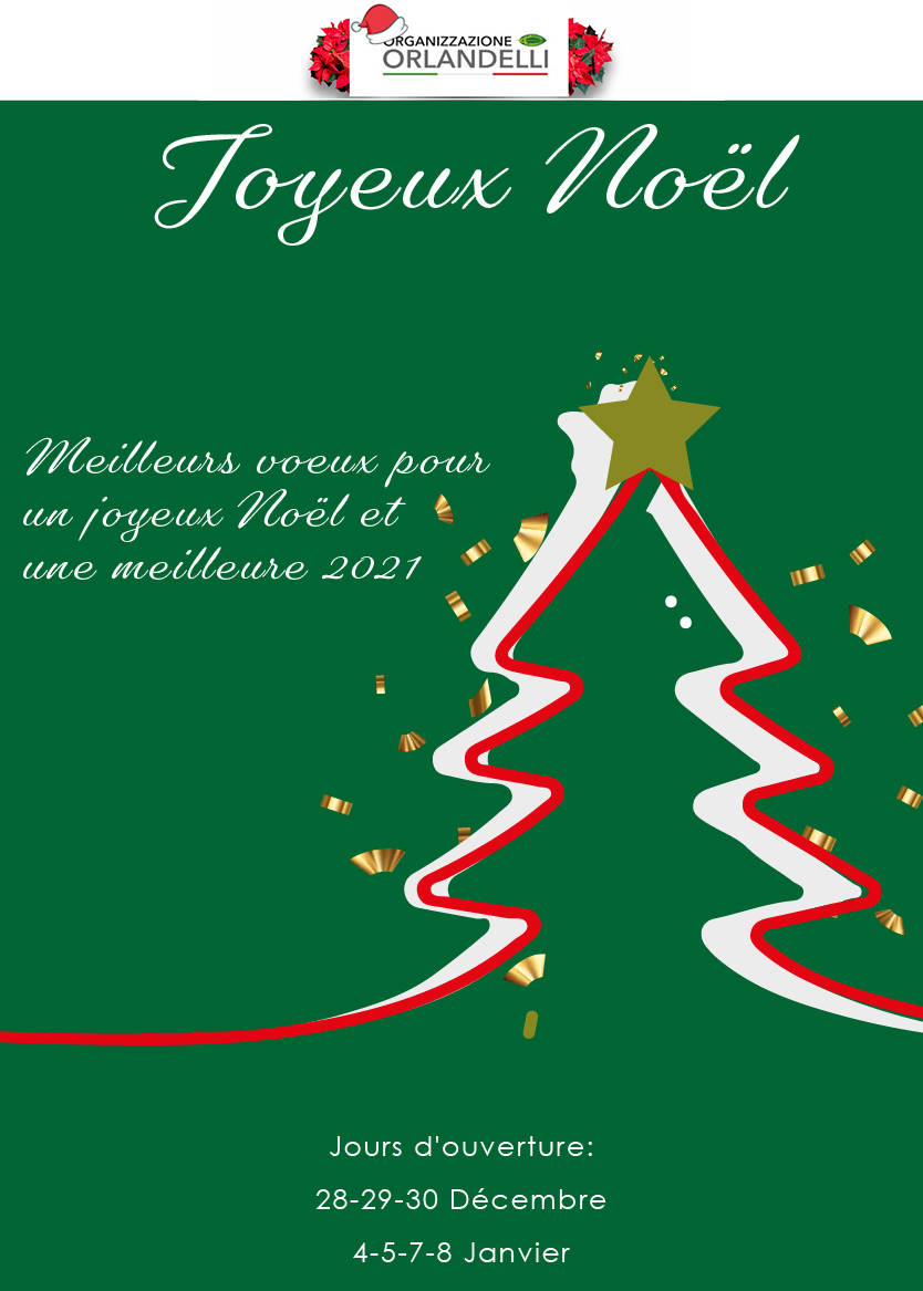 Carte de voeux de Noël Orlandelli 2020