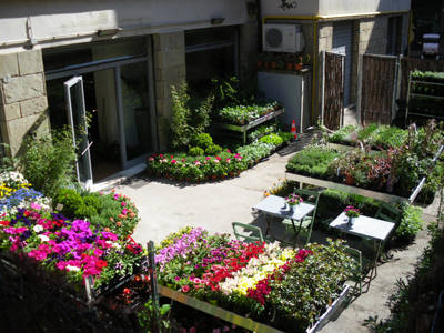 Senape pépinière urbaine, le monde du vert dans le centre de Bologne