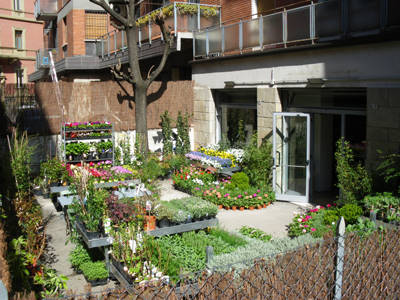 Senape vivaio urbano, die Welt der grünen im Zentrum von Bologna