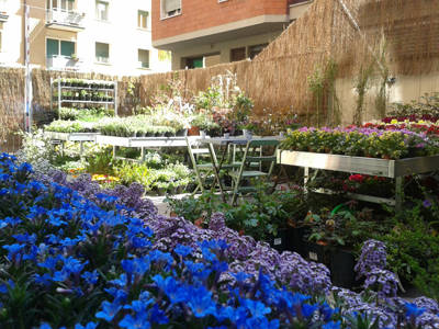 Senape vivaio urbano, the green world in Bologna city center