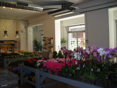 Senape vivaio urbano, the green world in Bologna city center