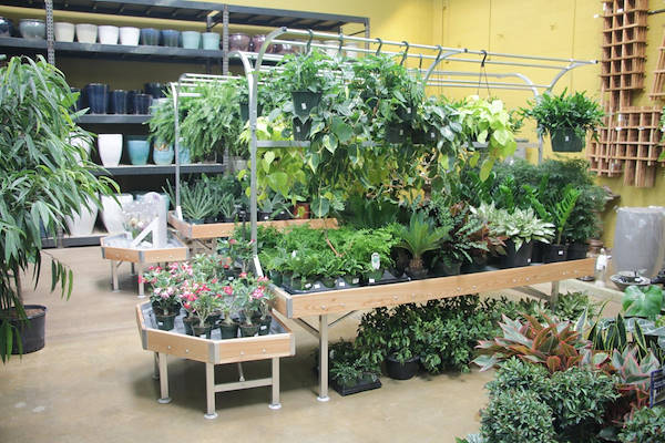 Serie AMOR für die Neugestaltung des Pflanzen- und Blumenbereichs von „Urban Hardware“