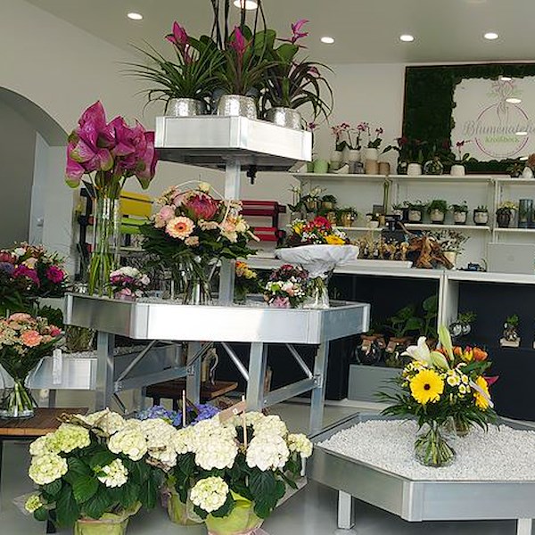 Hexagonal Display Set