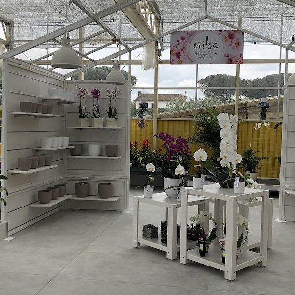 Set of tables covered in ceramics