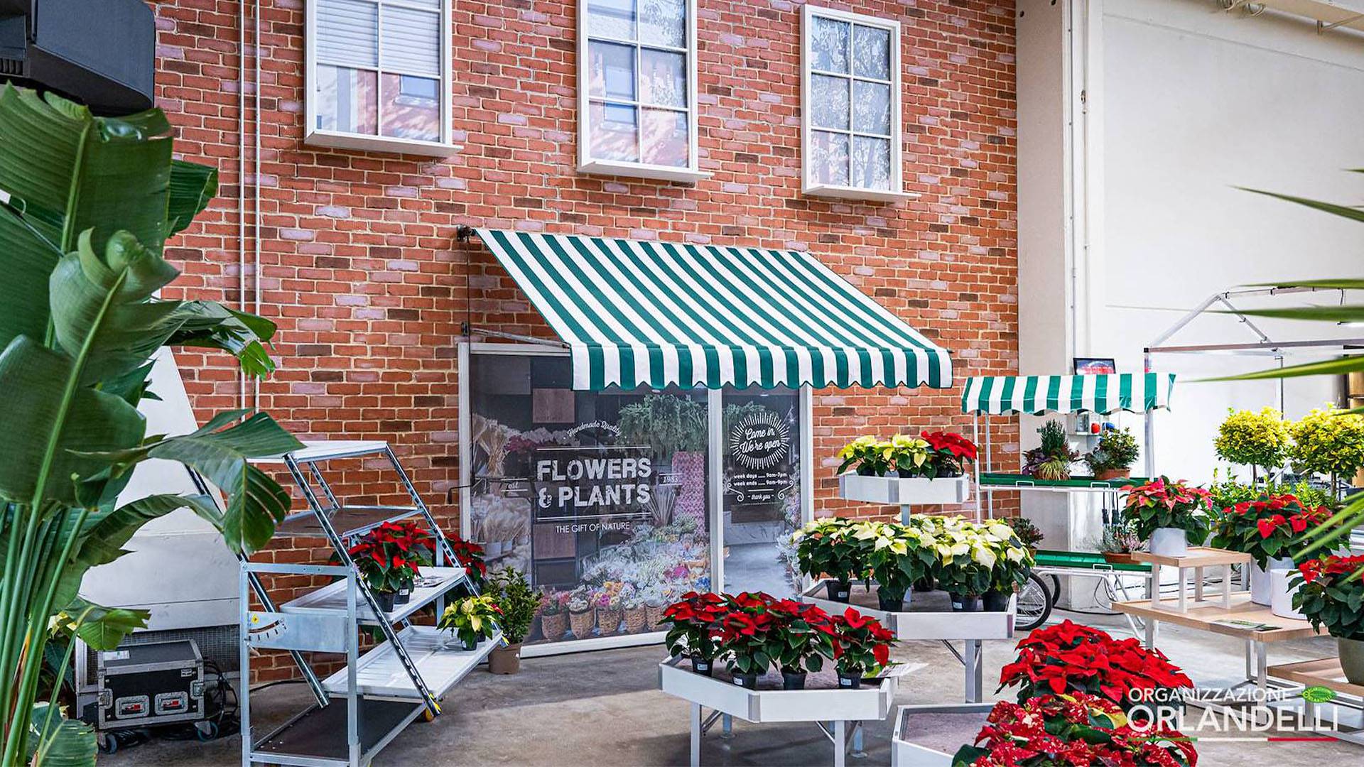 Trova idee ed ispirazioni per il tuo Garden Center