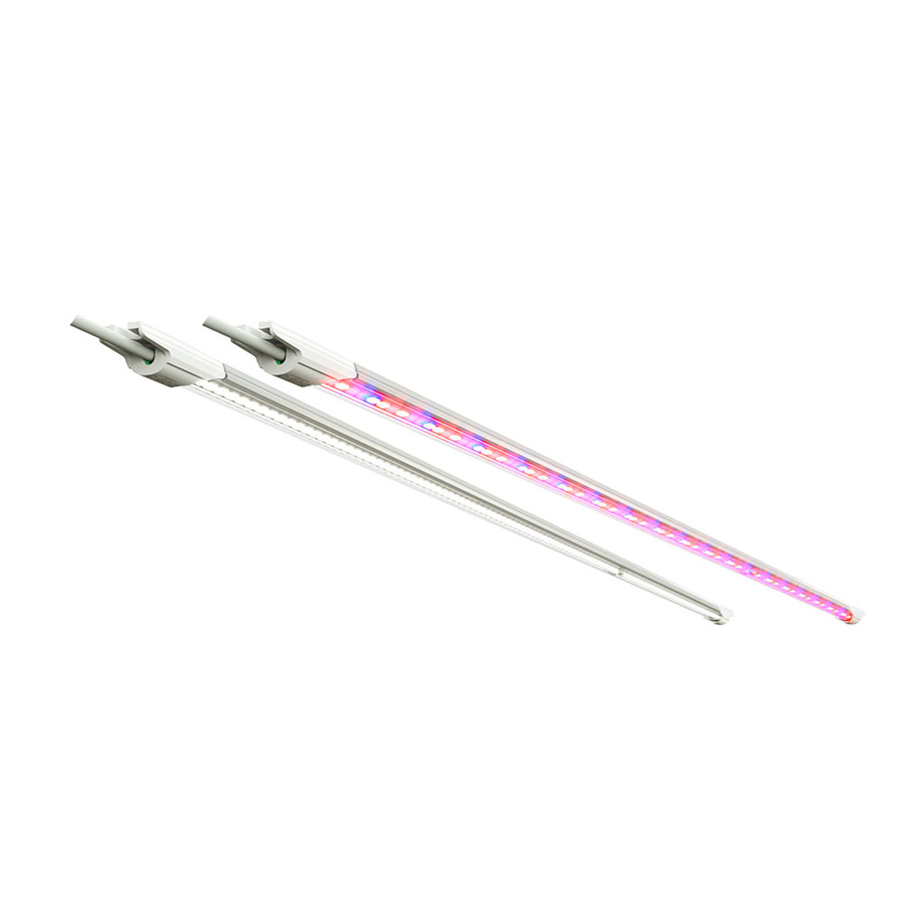 Luci LED Slim - Germinazione e Innesto