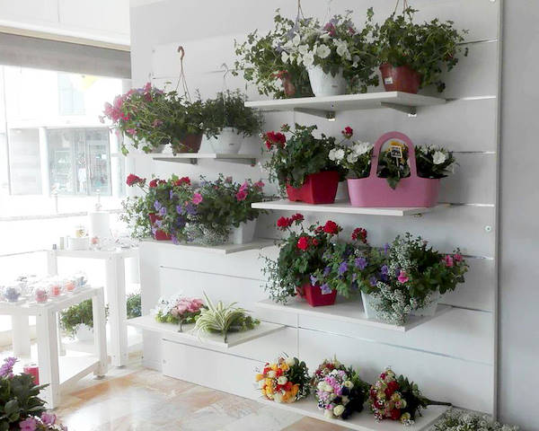 Sogno Fiorito, der neue Blumenladen