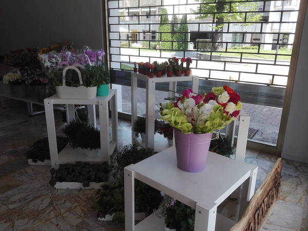 Sogno Fiorito: la nueva floristería