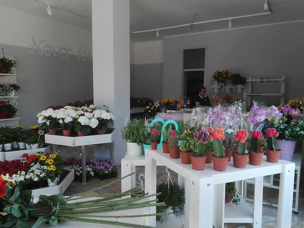 Sogno Fiorito ، متجر الزهور الجديد