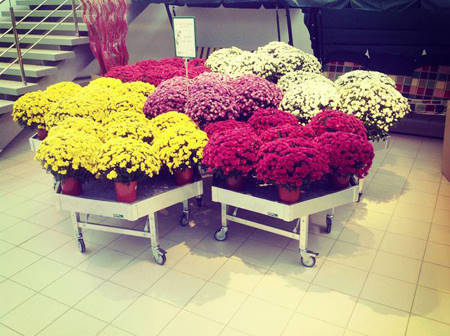SUN GREEN - Saratov. Der zweite Gartencenter in Russland dieser Kette