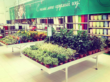 SUN GREEN - Saratov. Der zweite Gartencenter in Russland dieser Kette