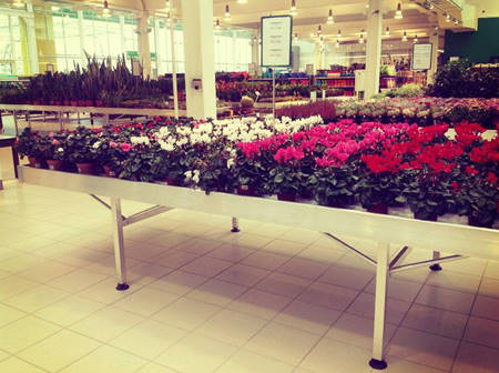 SUN GREEN - Saratov. Der zweite Gartencenter in Russland dieser Kette