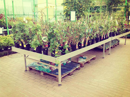 SUN GREEN - Saratov. Der zweite Gartencenter in Russland dieser Kette