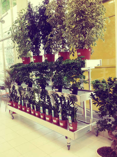 SUN GREEN – Saratov. It's their 2nd Garden Centre in Russia 