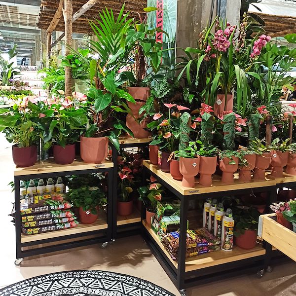 table avec deux étagères en bois sur roulettes