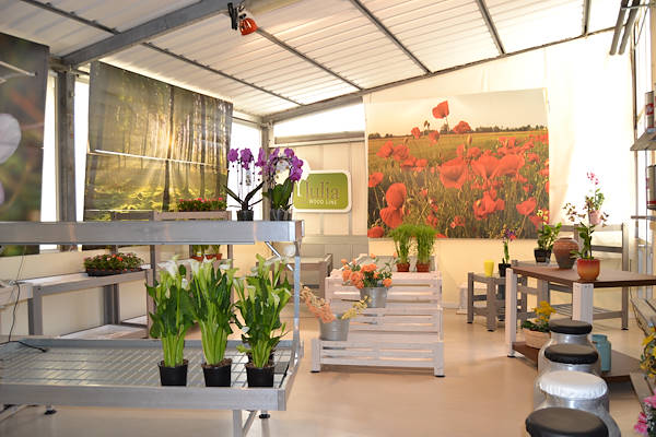 Te esperamos en nuestro nuevo salón de exposición!