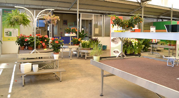 Te esperamos en nuestro nuevo salón de exposición!