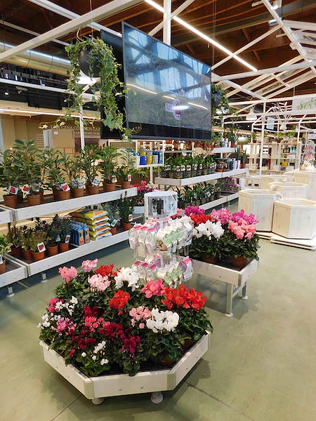 The Flora Toscana Greenhouse