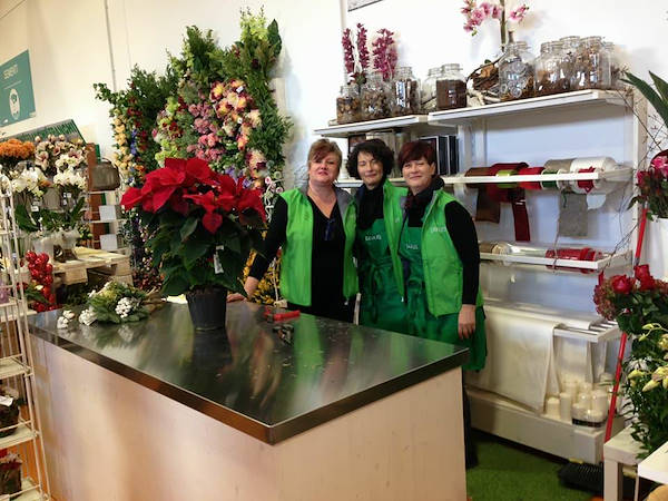 The new concept Paviotti by Orlandelli