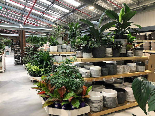 The new Flower Power Garden Center