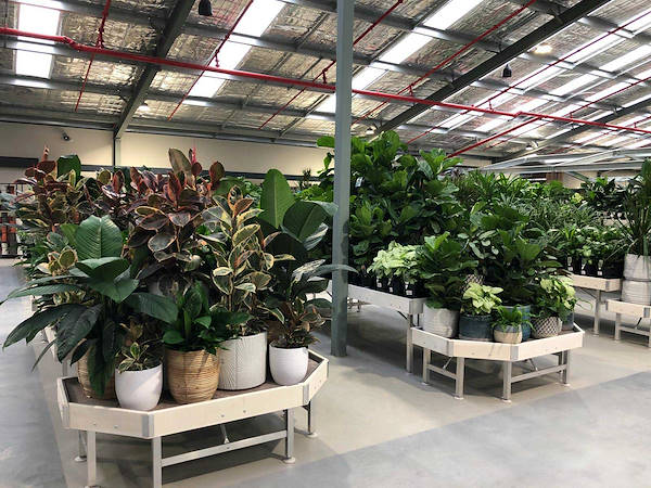 The new Flower Power Garden Center