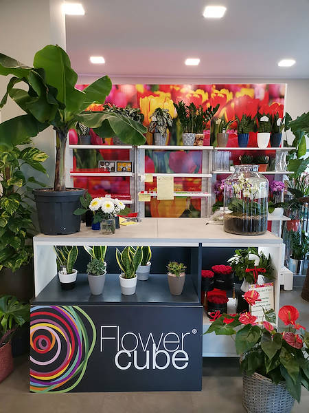 The new look of “Oasi dei Fiori” in Milan is renewed with a young and elegant layout