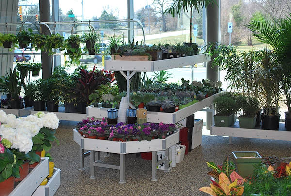Petitti Garden   مراكز الجديد