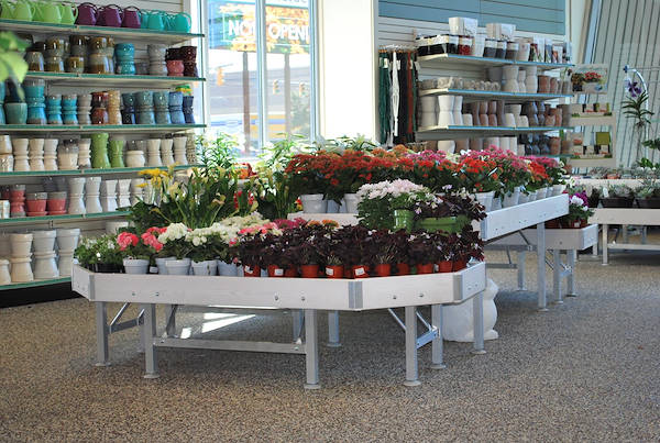 Petitti Garden   مراكز الجديد