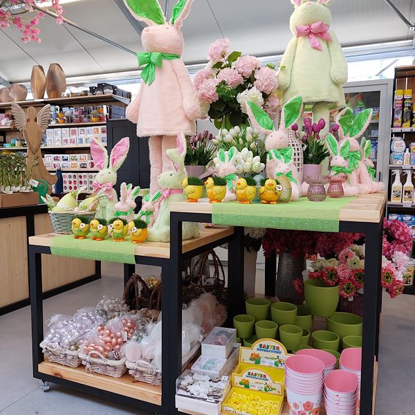 L'ouverture - La Jardinerie Il Tulipano