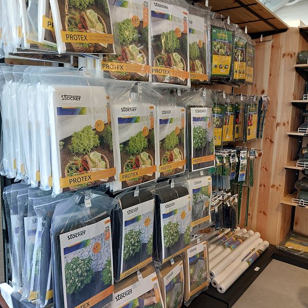 La Inauguración - El Centro de Jardinería Il Tulipano