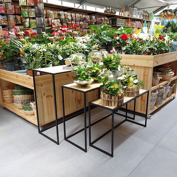 La Inauguración - El Centro de Jardinería Il Tulipano