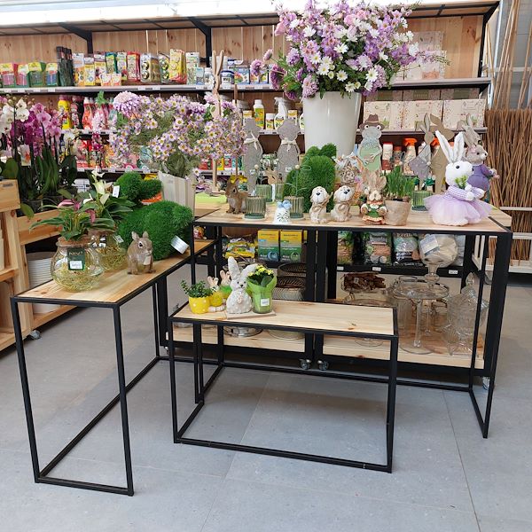 La Inauguración - El Centro de Jardinería Il Tulipano