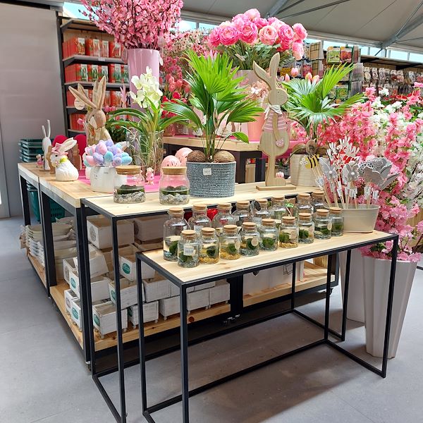 La Inauguración - El Centro de Jardinería Il Tulipano