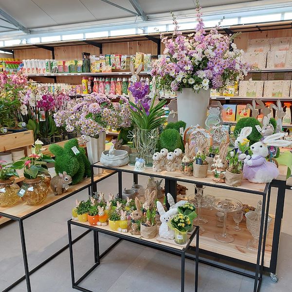 The opening - The Garden Center Il Tulipano