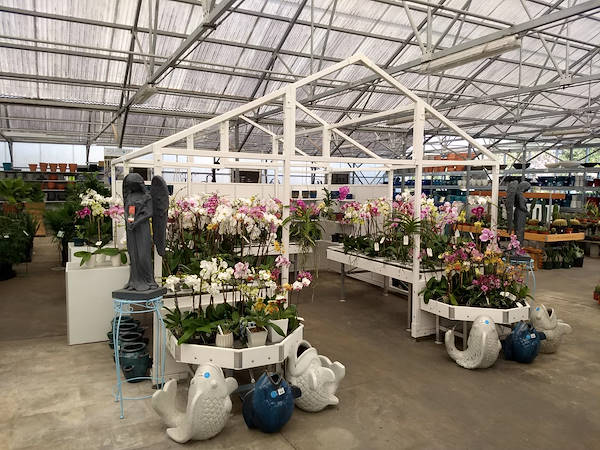 Turner Garden renoviert sein Gartencenter, um den Umsatz zu steigern