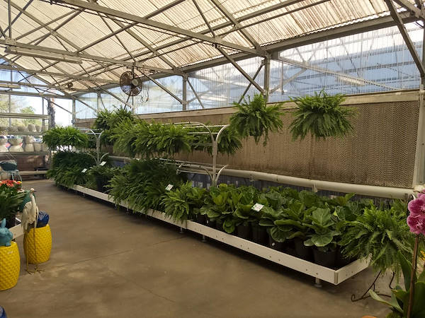 Turner Garden renoviert sein Gartencenter, um den Umsatz zu steigern