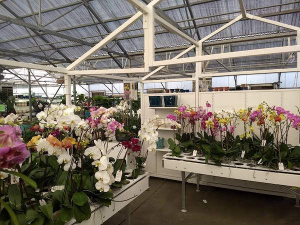 Turner Garden rinnova il suo Garden Center per aumentare le vendite