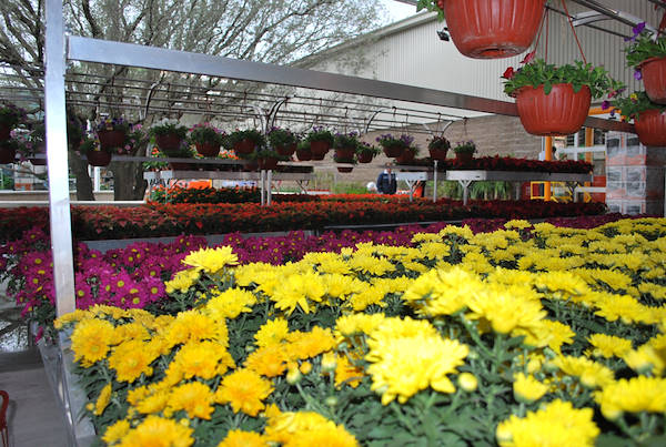 Galería Home Depot Messico