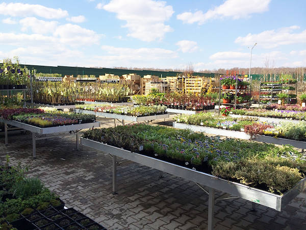 Uno dei segreti per guadagnare nella Floricoltura