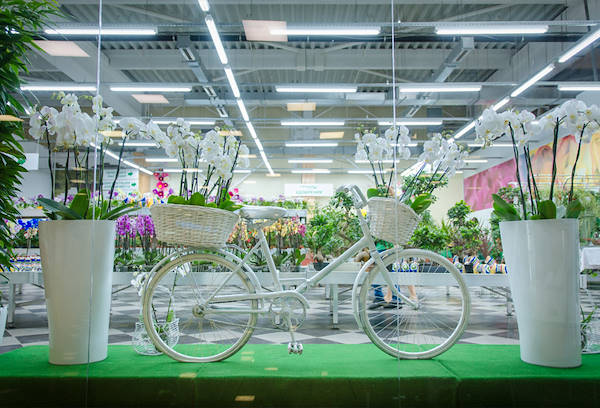 VASH SAD, il nuovo garden center ad Odessa