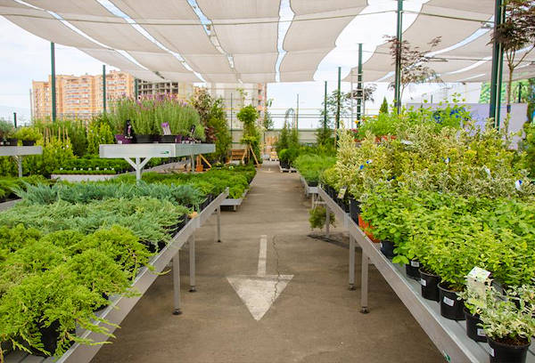 VASH SAD, the new Garden Center in Odessa