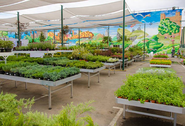 VASH SAD, the new Garden Center in Odessa