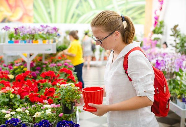 VASH SAD, the new Garden Center in Odessa
