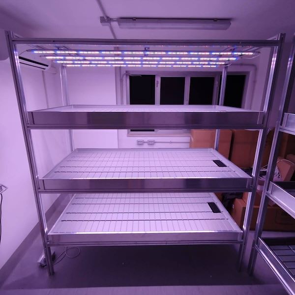 système d'agriculture verticale